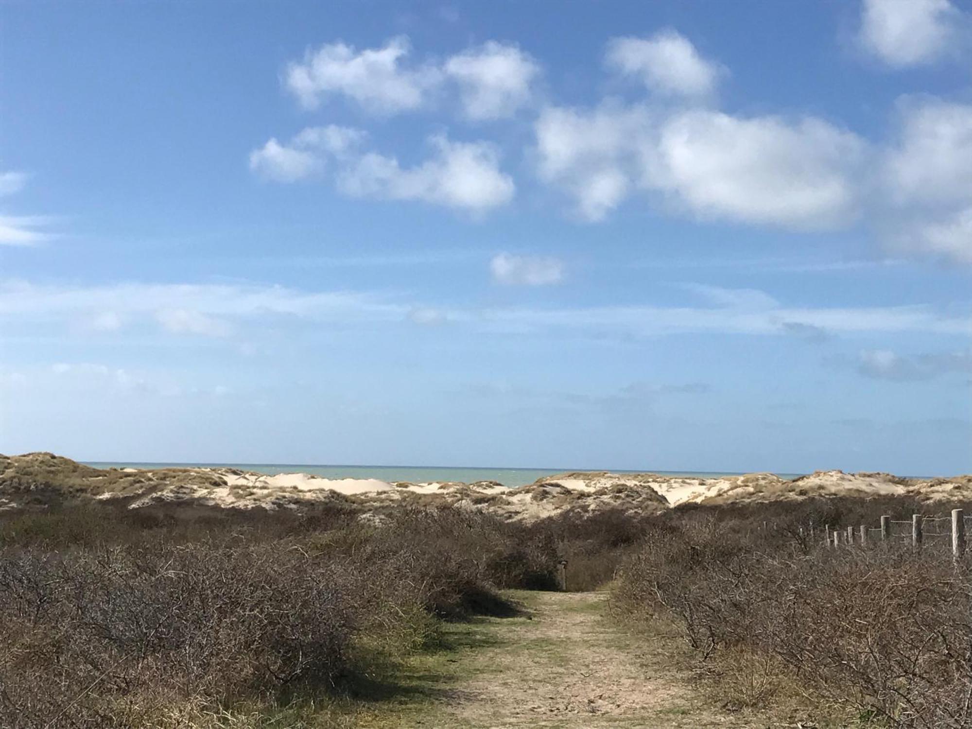 Petale De Rose, Dunes 3 Merlimont-Plage Buitenkant foto